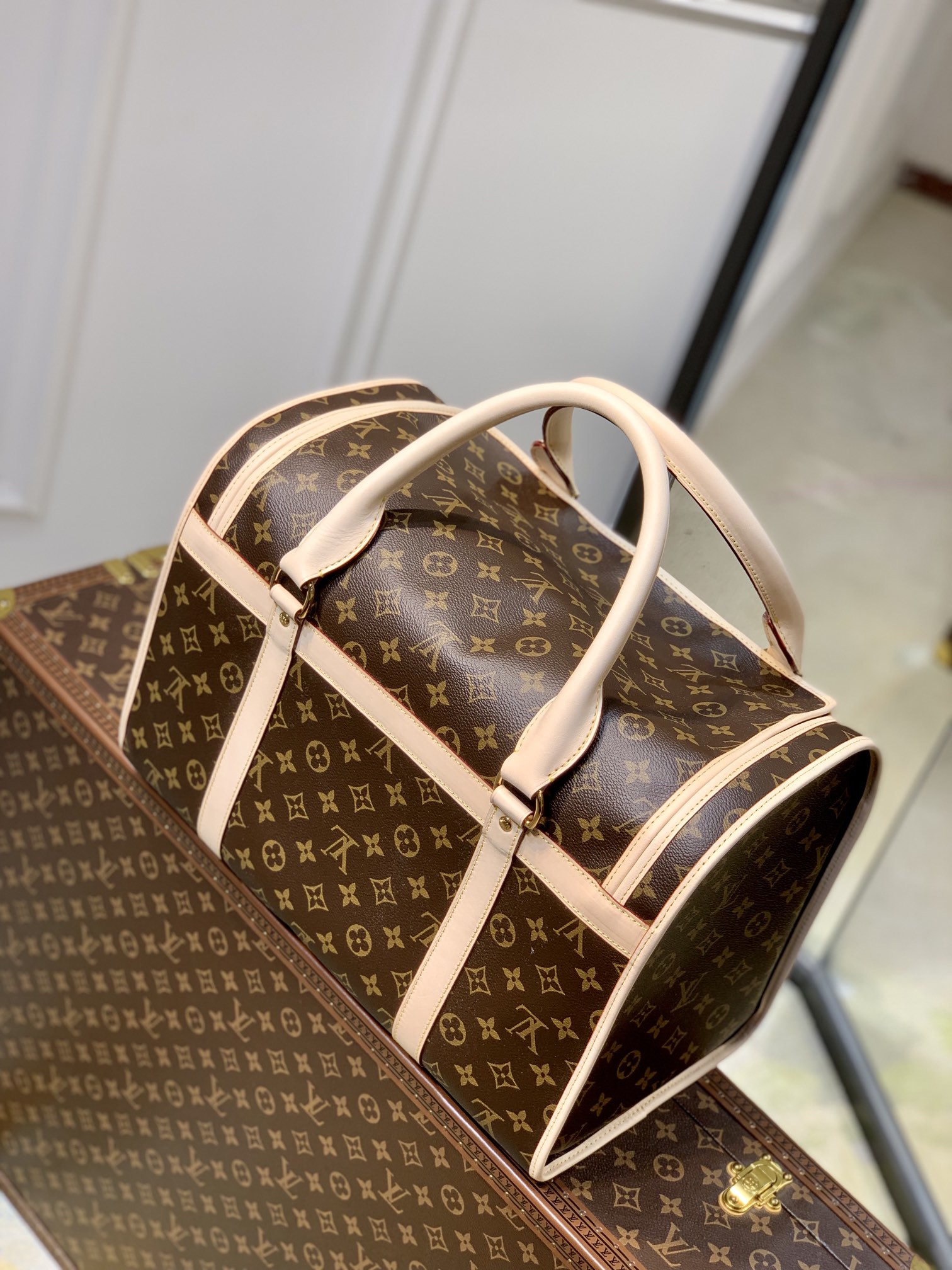 LV Travel Bags